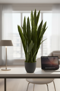 faux plant decor